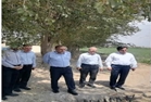 بازدیدرئیس سازمان جهادکشاورزی البرز از مزرعه نوآوردرشهرستان نظرآباد