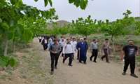 اردوی یک روزه فرهنگی کارکنان سازمان جهاد کشاورزی البرز پنج شنبه مورخ 1403/2/13
