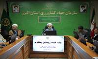 برگزاری جلسه کمیته روستایی و عشایری ستاد دهه فجر استان البرز دوشنبه مورخ 1403/10/24