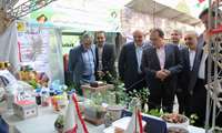 بازدید معاون استاندار از نمایشگاه دستاوردهای بخش کشاورزی استان البرز