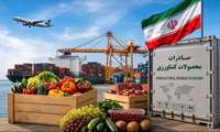 محصولات گلخانه‌ای، استان البرز ظرفیت صادراتی دارد .