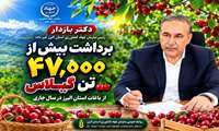 برداشت بیش از ۴۷ هزار تن گیلاس از باغات  استان البرز