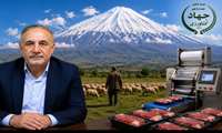 تقویت سرمایه گذاری و توسعه صنعت دام و طیور ، رکن اساسی امنیت غذایی و اشتغال پایدار استان البرز 