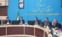 بررسی وضعیت سوخت نانوایی‌ها و اصلاح نظام توزیع آرد در کارگروه آرد و نان البرز