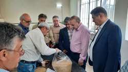 بازدید دکتر بازداررئیس سازمان جهادکشاورزی البرز از مرکز خریدگندم شهرستان نظرآباد شنبه مورخ 1403/4/2