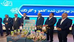 وزیر جهادکشاورزی از هفت رقم بذر هیبرید کاهو در مرکز ملی ذخایر ژنتیکی و زیستی ایران درالبرز رونمایی کرد.