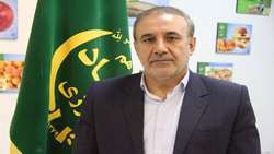 عبدالرضا بازدار رئیس سازمان جهاد کشاورزی البرز باصدور پیامی فرا رسیدن هفته دولت را تبریک گفتند