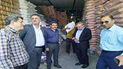 بازدید رئیس سازمان جهادکشاورزی البرز در جهت رصد و نظارت بر توزیع کالاهای اساسی در شهرستان کرج 