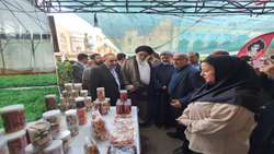 بازدید نماینده ولی فقیه در استان و امام جمعه شهر کرج از نمایشگاه دستاوردهای بخش کشاورزی البرز(به روایت تصویر)