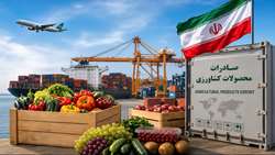 محصولات گلخانه‌ای، استان البرز ظرفیت صادراتی دارد .