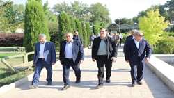 بذر خودکفایی در البرز؛ امنیت غذایی کشور در مسیر استقلال