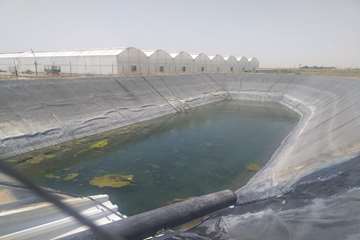 photo28656444206