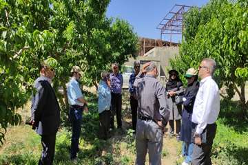 IMG_20260617_083214_498