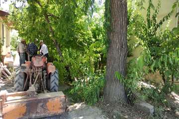 IMG_20260617_083221_811