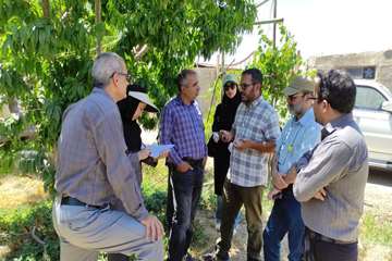 IMG_20260617_083233_371