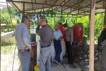 IMG_20260617_083236_853
