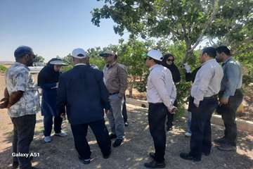 IMG_20260617_083336_014