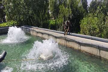 photo27893736080