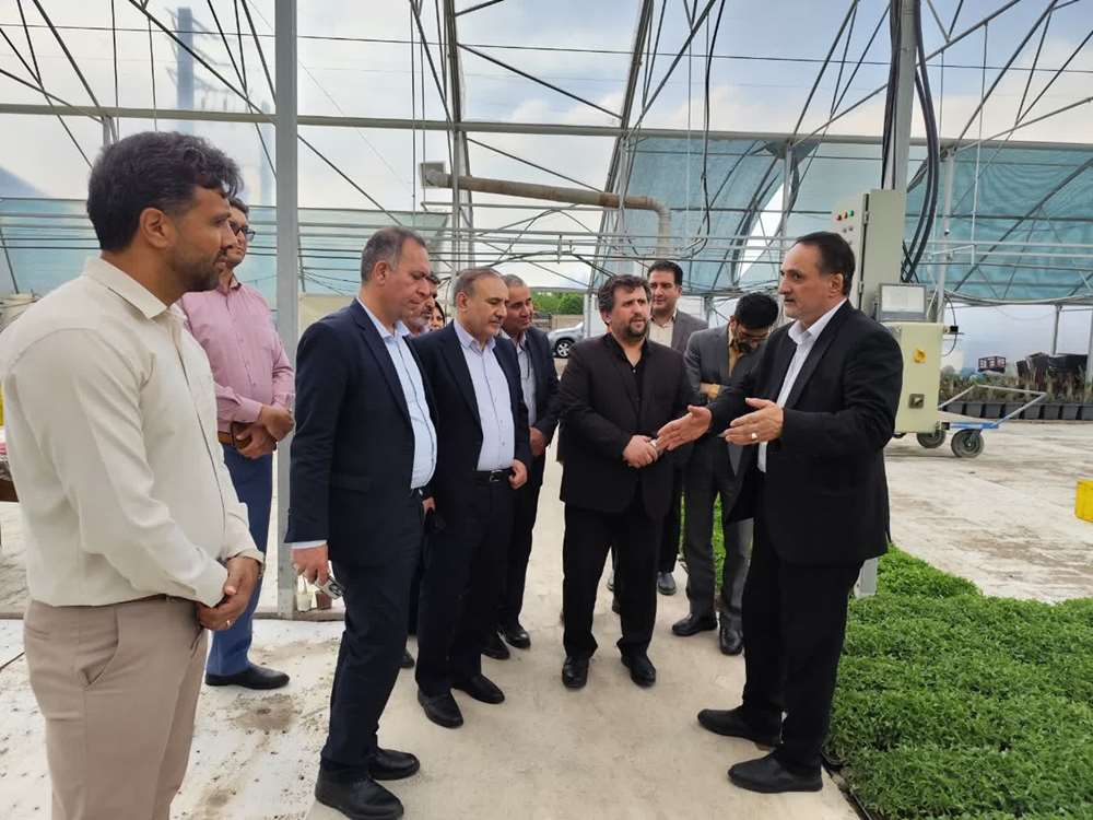 بازدید از گلخانه تولید نشاء در کرج  
