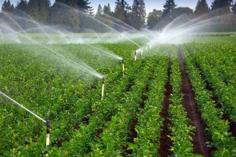 مشارکت چشمگیر بخش خصوصی در پروژه‌های جهاد کشاورزی البرز